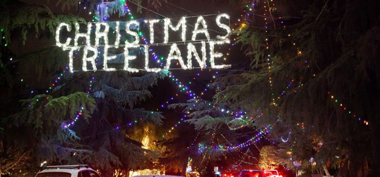 Fresno Christmas Tree Lane Walk Nights suspended this year