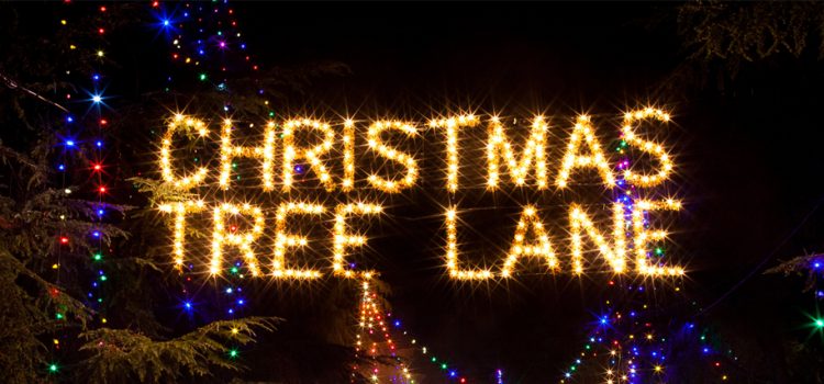 Smiles and Cheer at the first two walk-nights for Fresno’s Christmas Tree Lane