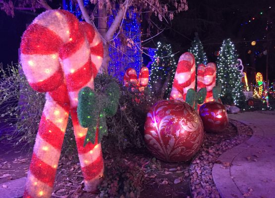 christmas tree lane fresno 2020 Christmas Tree Lane A Fresno Tradition Since 1920 christmas tree lane fresno 2020