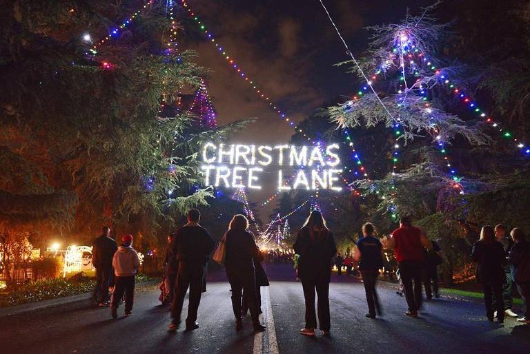 fresno christmas events 2020 Christmas Tree Lane A Fresno Tradition Since 1920 fresno christmas events 2020