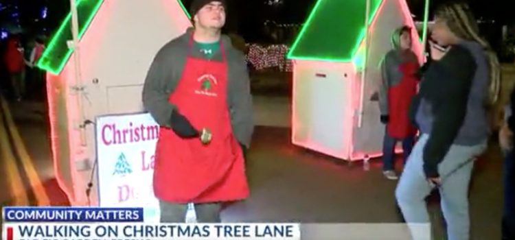 Sights, sounds and history of Christmas Tree Lane