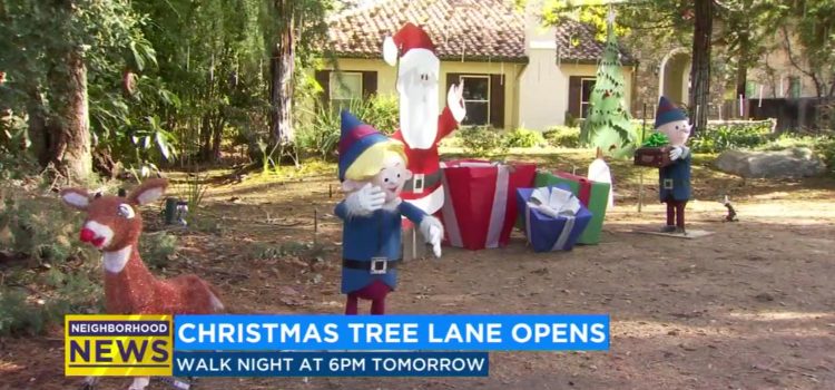 Christmas Tree Lane begins on Tuesday