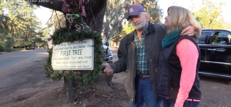 People want to save first tree of Christmas Tree Lane. ‘It’s part of our history’