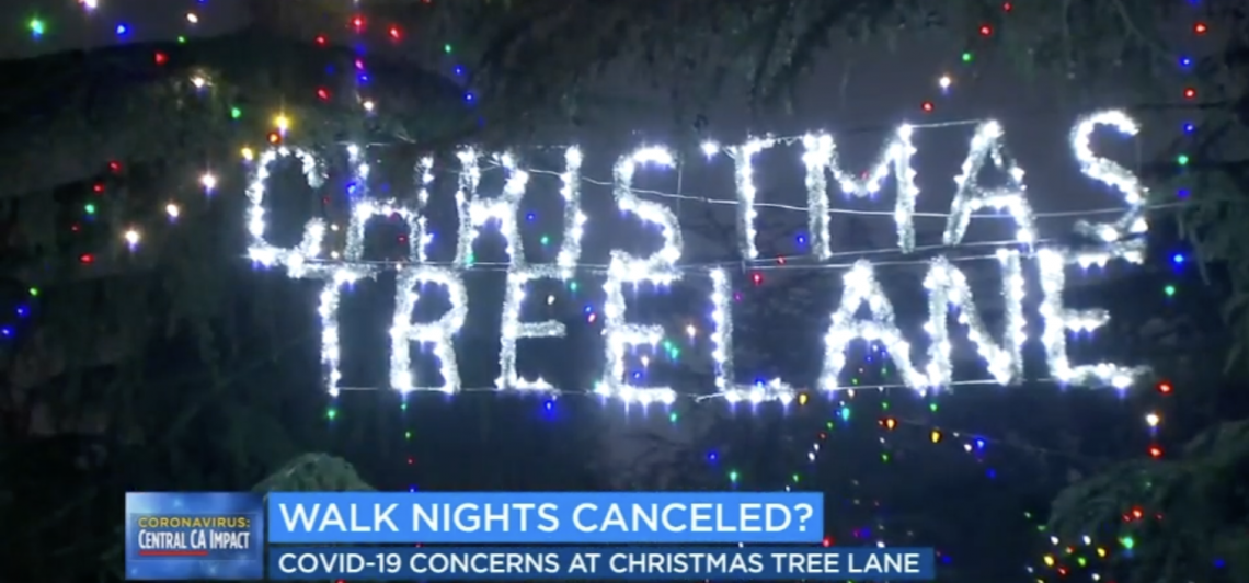 Christmas Tree Lane