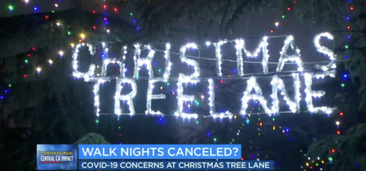 Christmas Tree Lane walk nights tentatively canceled for 2022