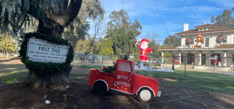 Fresno Christmas Tree Lane’s dying ‘First Tree’ is cloned, will live on